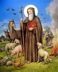 Festa di S. Antonio abate nelle parrocchie della diocesi