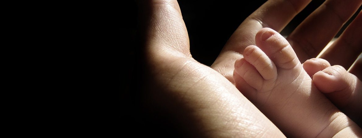 “Rigenerare capacità e risorse oltre la crisi”: settimana sociale dei cattolici italiani 2014