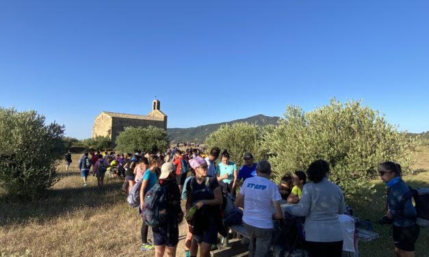 GMG 2023: DA LISBONA IL RACCONTO DEI GIOVANI PIACENTINI