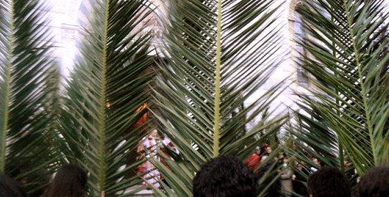 La Consegna delle Palme a Bedonia
